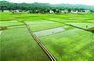 农田灌溉用水消毒